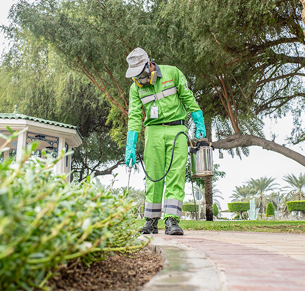 Man with weed killer